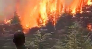 كتامة: اندلاع حريق مهول  بغابة جبل “أغندر”